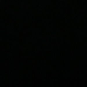 Meet your Posher, Carly